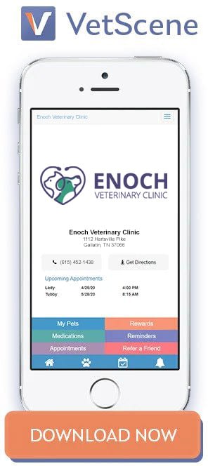 Home - Enoch Veterinary Clinic